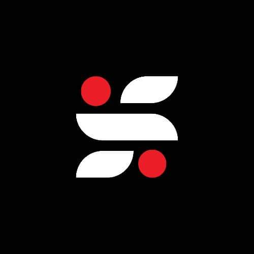 TheBorinSite Logo